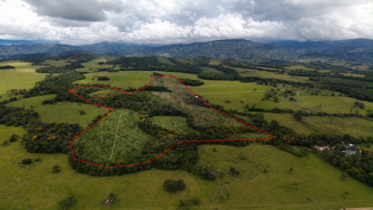 CAMPOBELLO | Premium Cacao & Fine Timber Agribusiness